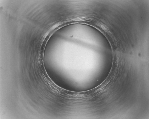 X0000054471308200508191717