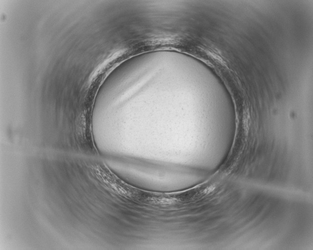 X0000054471309200508191717