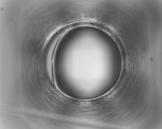 X0000054471310200508191717