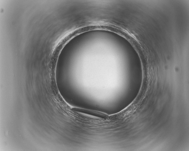 X0000054471311200508191717