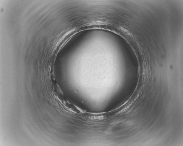 X0000054471313200508191718