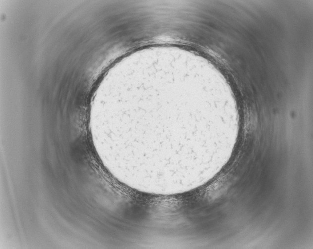 X0000054471314200508191718