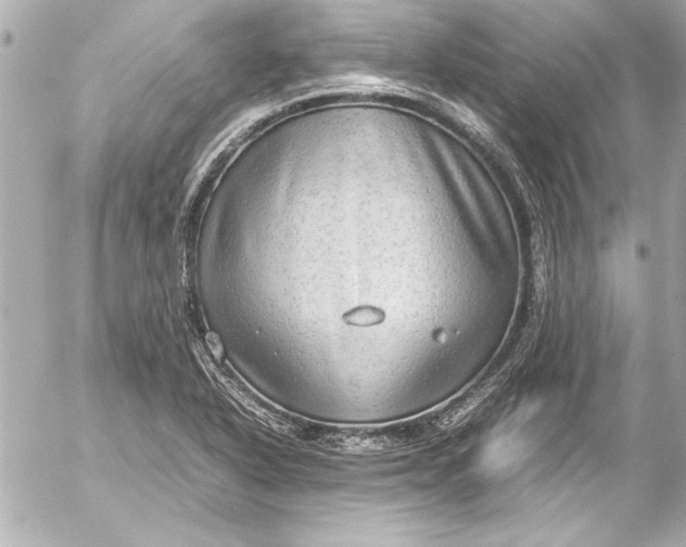 X0000054471318200508191718