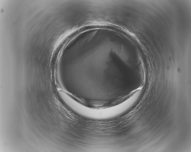 X0000054471319200508191718