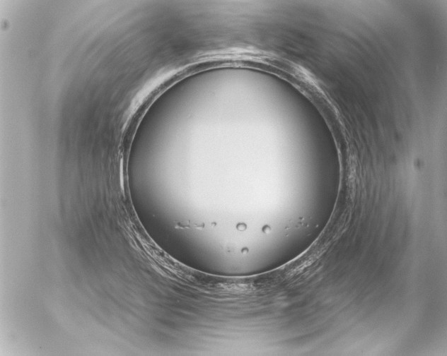 X0000054471320200508191718