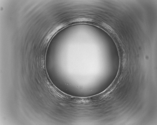 X0000054471321200508191718