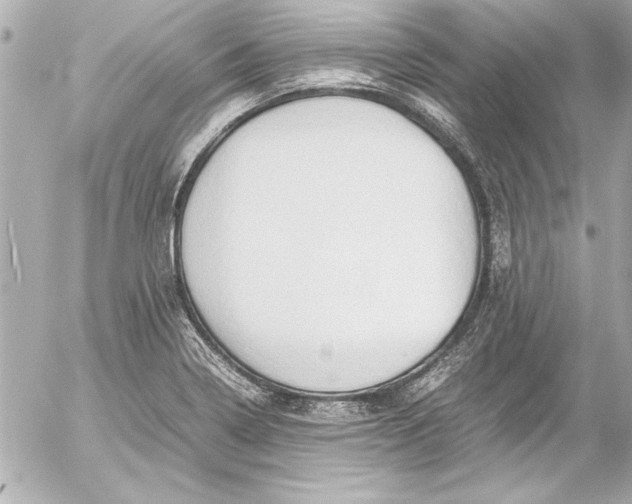 X0000054471322200508191718