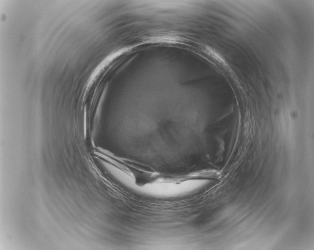 X0000054471323200508191718