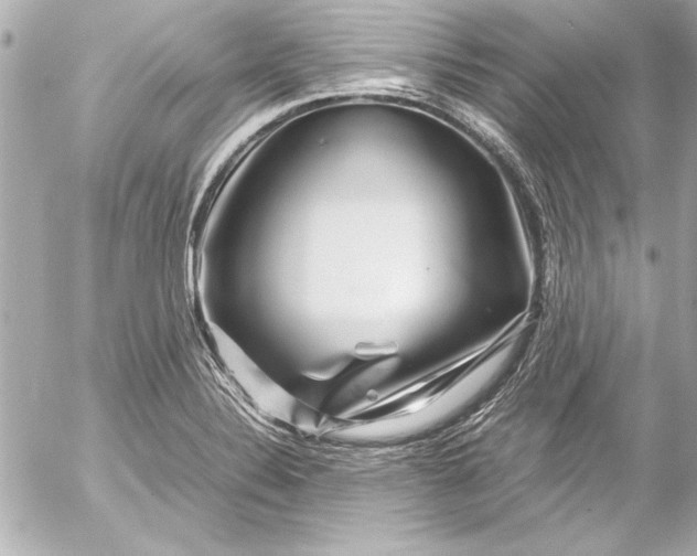 X0000054471324200508191718