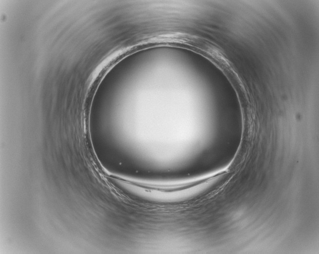 X0000054471328200508191718