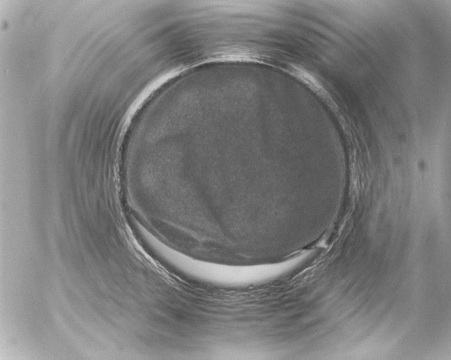 X0000054471331200508191718