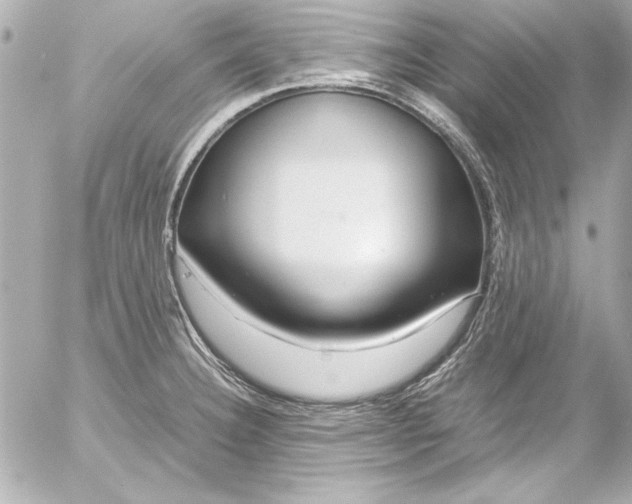 X0000054471332200508191718