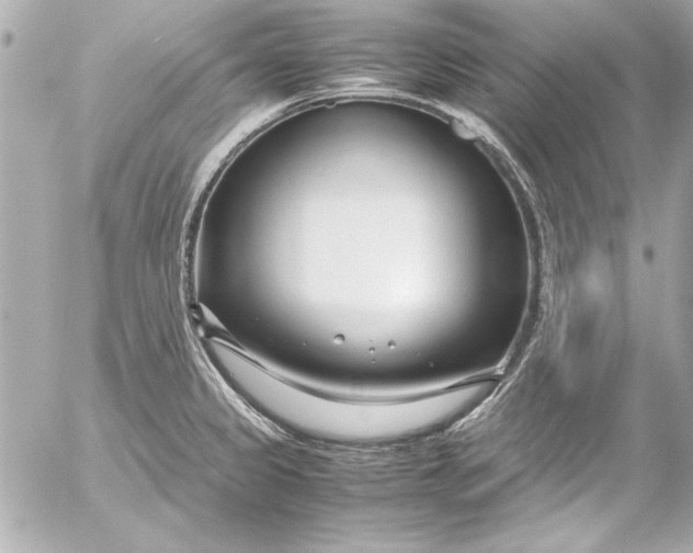 X0000054471333200508191718