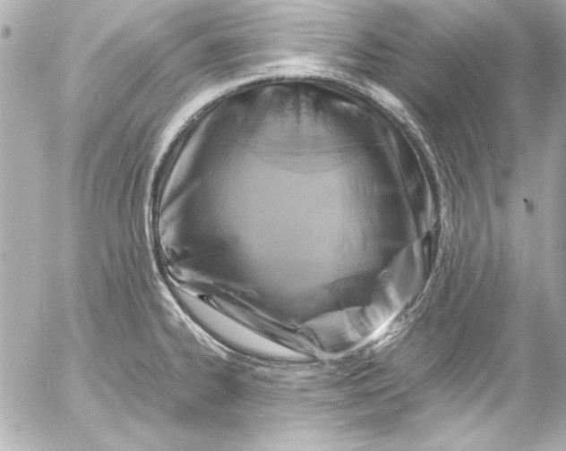 X0000054471334200508191718