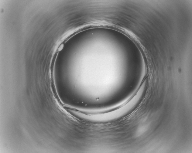 X0000054471335200508191718