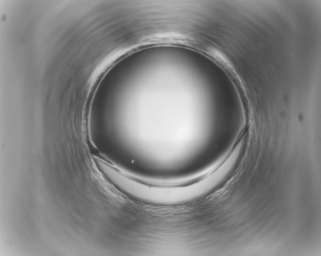 X0000054471336200508191718