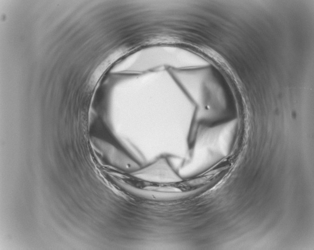 X0000054471337200508191718