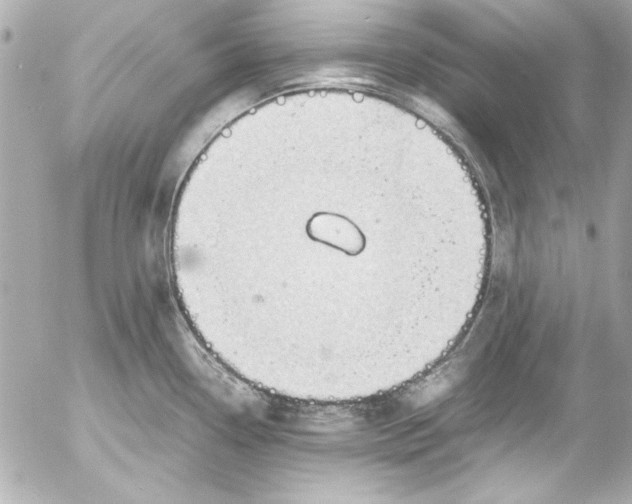 X0000054471338200508191718