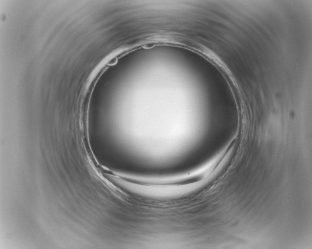 X0000054471339200508191718