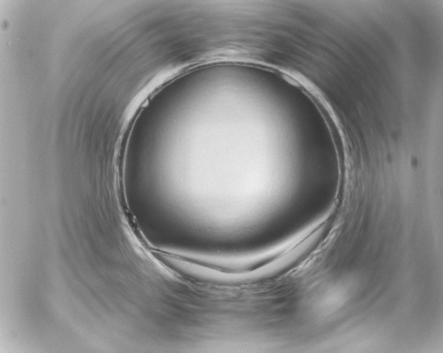 X0000054471341200508191718