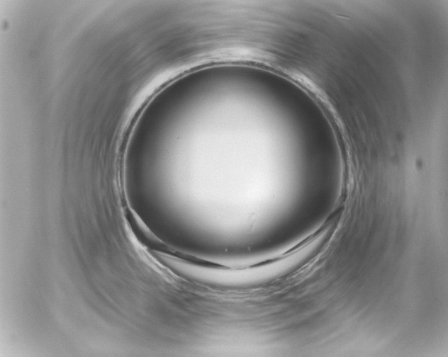 X0000054471342200508191718