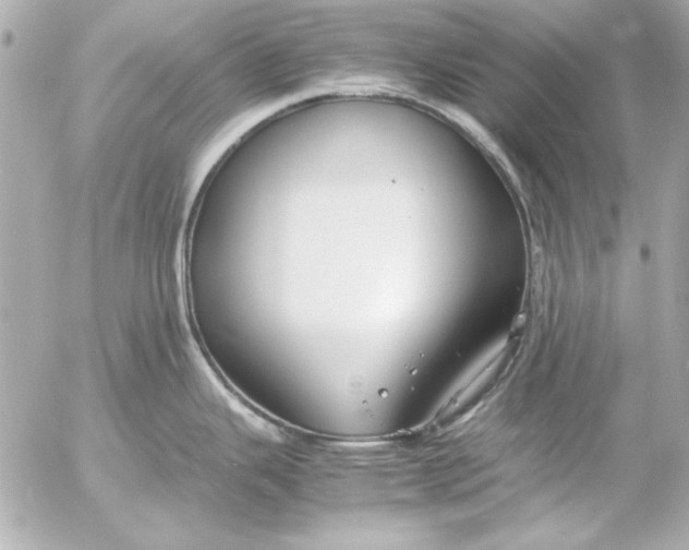 X0000054471343200508191718