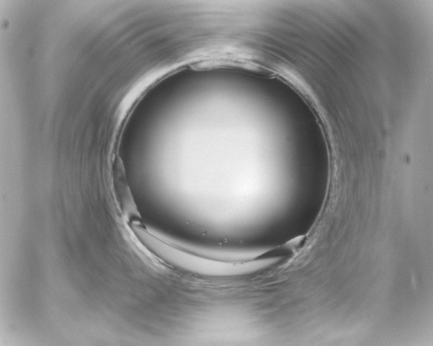 X0000054471344200508191718