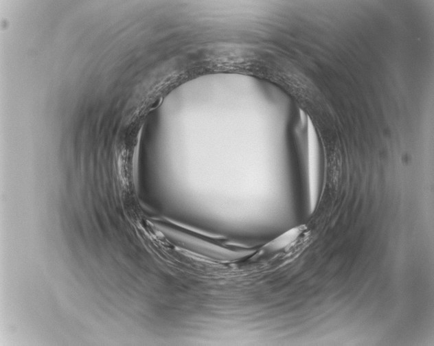 X0000054471346200508191717