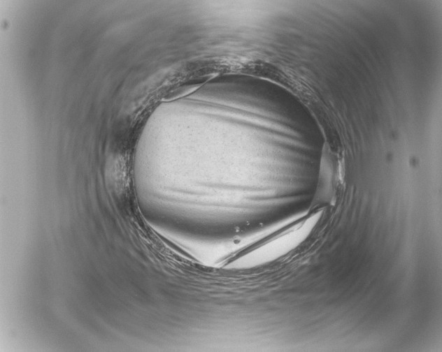 X0000054471347200508191717