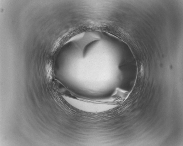 X0000054471348200508191717