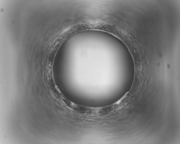 X0000054471349200508191717