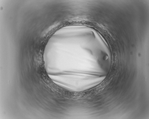 X0000054471350200508191717