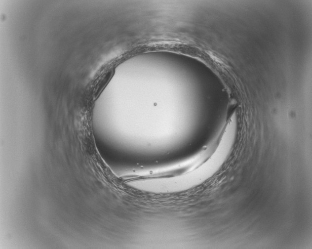 X0000054471351200508191717