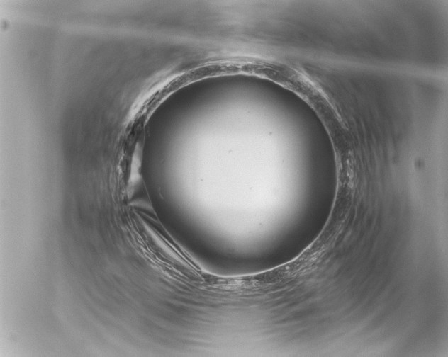 X0000054471352200508191717