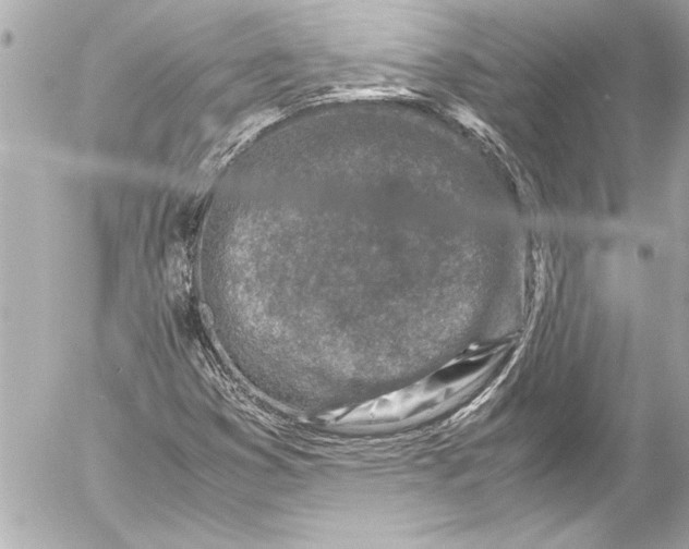 X0000054471353200508191717