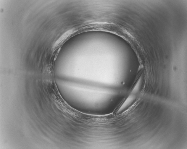 X0000054471354200508191717