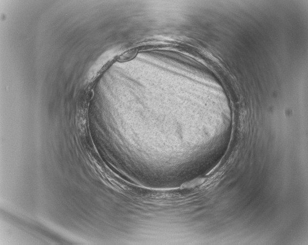 X0000054471355200508191717