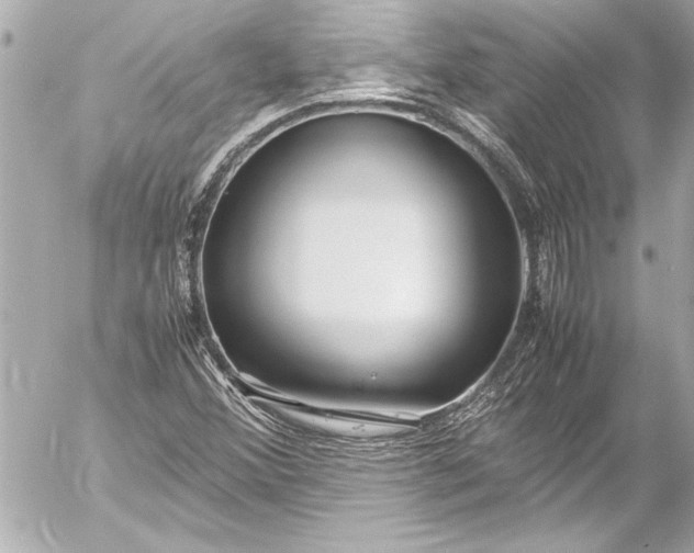 X0000054471356200508191717