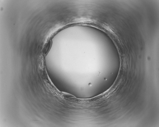 X0000054471358200508191717