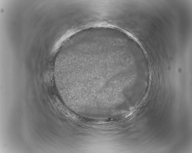 X0000054471359200508191717