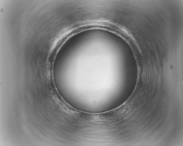 X0000054471360200508191717