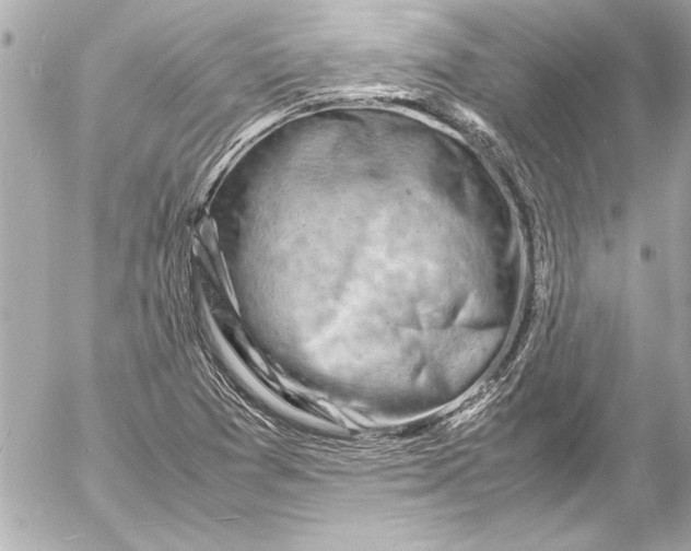 X0000054471361200508191717