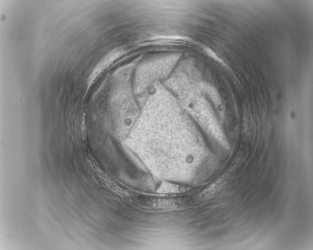 X0000054471362200508191717