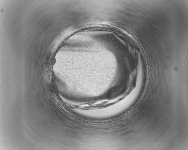 X0000054471363200508191717