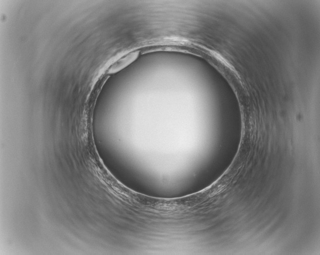 X0000054471364200508191717