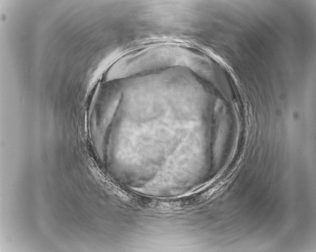 X0000054471365200508191717