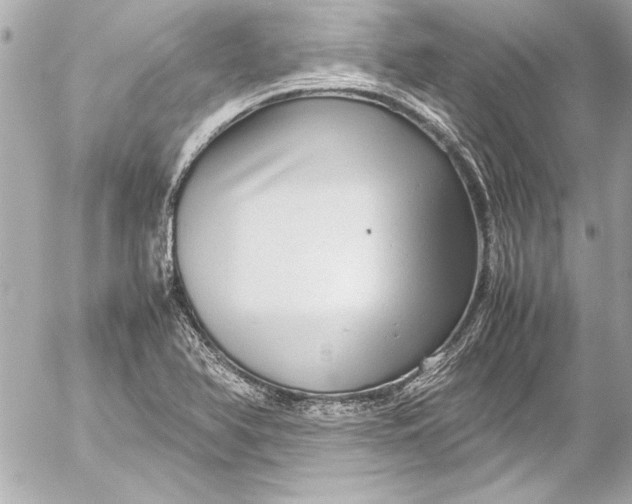 X0000054471366200508191717