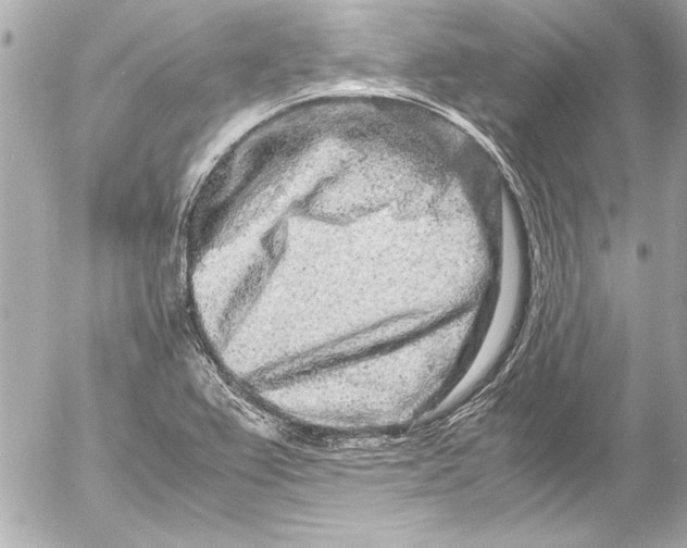 X0000054471367200508191717