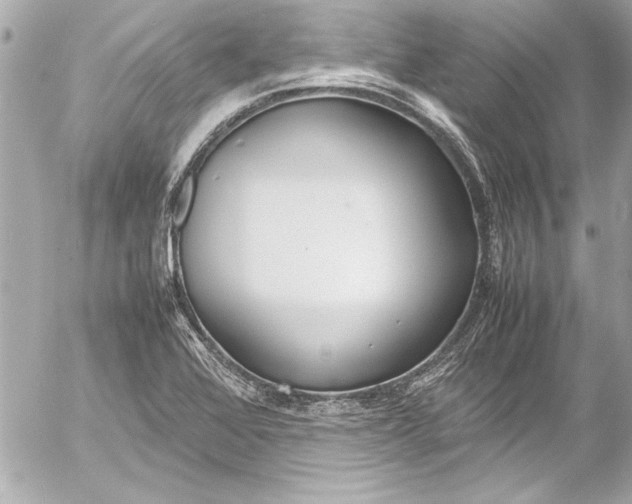 X0000054471368200508191717