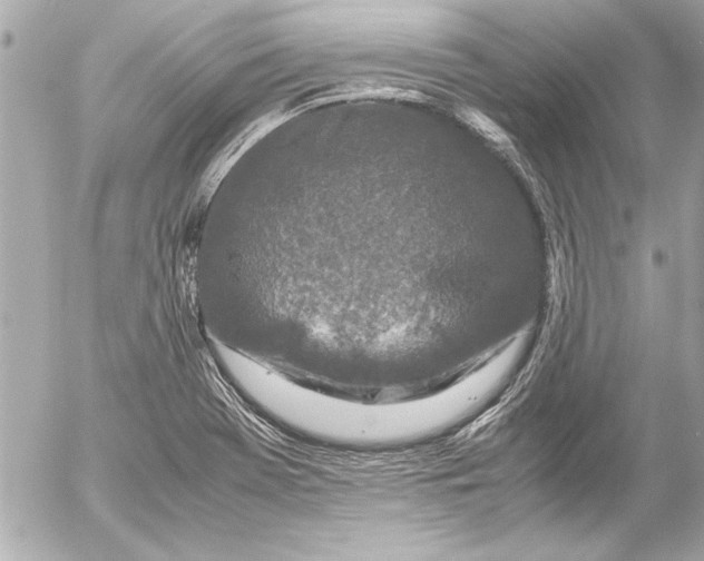 X0000054471369200508191717